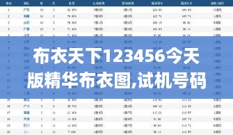 布衣天下123456今天版精华布衣图,试机号码,实地验证实施_UJS4.79