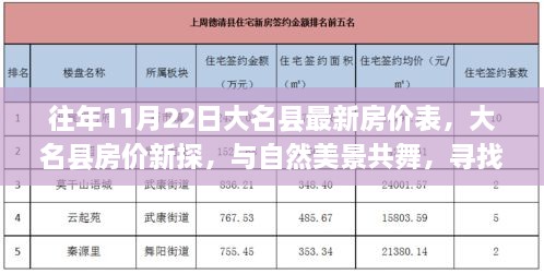 11月22日大名县最新房价表，探寻内心平和乐园与自然美景共舞的新家园