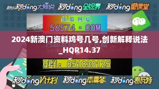 2024新澳门资料鸡号几号,创新解释说法_HQR14.37