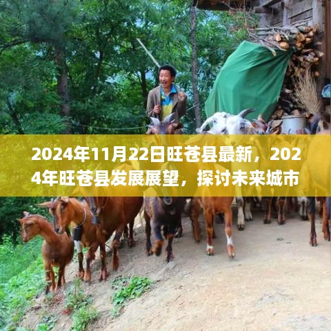 2024年旺苍县发展展望，未来城市建设的机遇与挑战