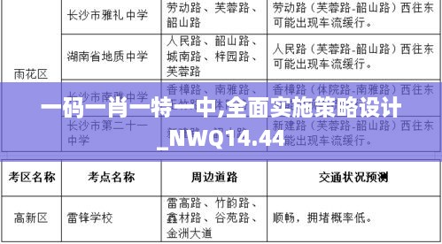 一码一肖一特一中,全面实施策略设计_NWQ14.44