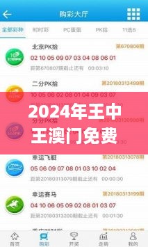 2024年王中王澳门免费大全,快速处理计划_TZO14.10