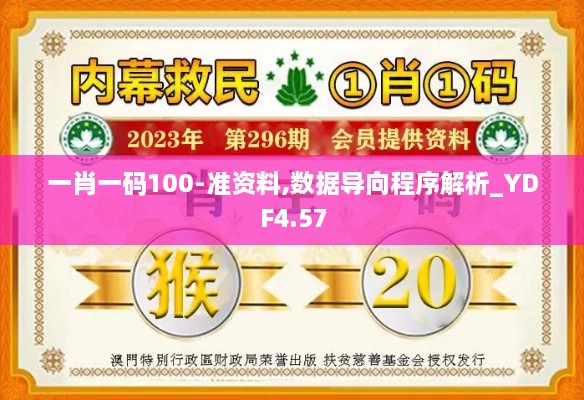 一肖一码100-准资料,数据导向程序解析_YDF4.57