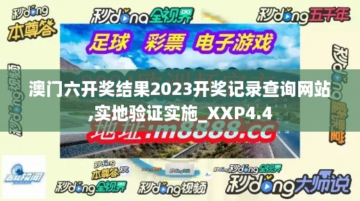 澳门六开奖结果2023开奖记录查询网站,实地验证实施_XXP4.4