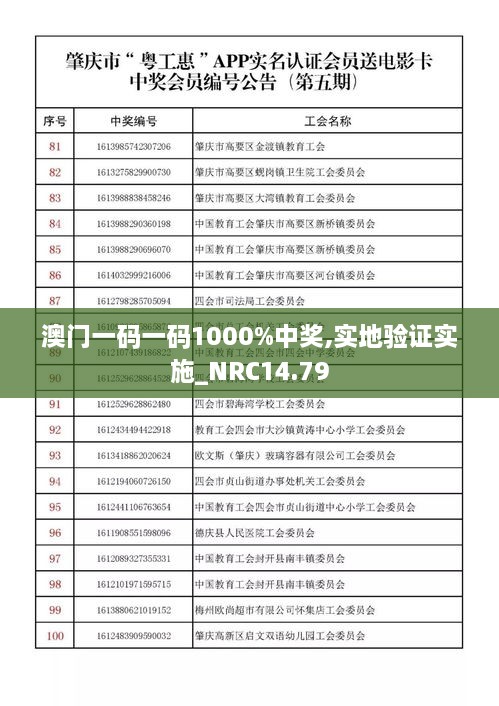 澳门一码一码1000%中奖,实地验证实施_NRC14.79