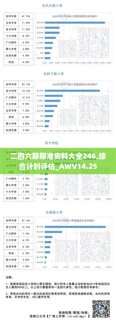 二四六期期准资料大全246,综合计划评估_AWV14.25