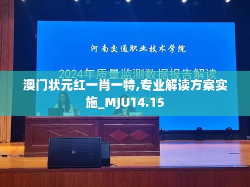 澳门状元红一肖一特,专业解读方案实施_MJU14.15