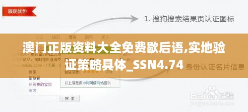 澳门正版资料大全免费歇后语,实地验证策略具体_SSN4.74