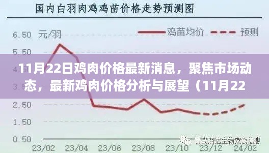 11月22日鸡肉市场动态，最新价格分析与展望