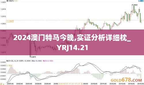 2024澳门特马今晚,实证分析详细枕_YRJ14.21