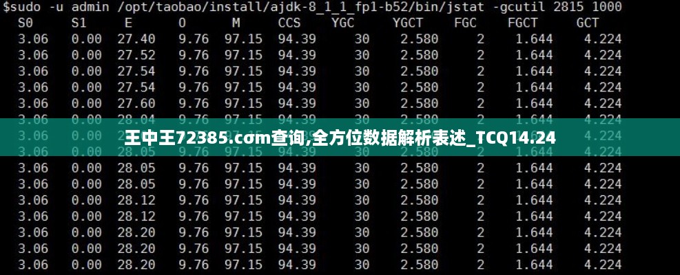 王中王72385.cσm查询,全方位数据解析表述_TCQ14.24