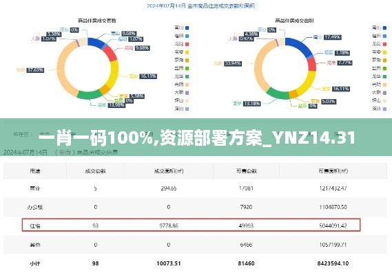 一肖一码100%,资源部署方案_YNZ14.31