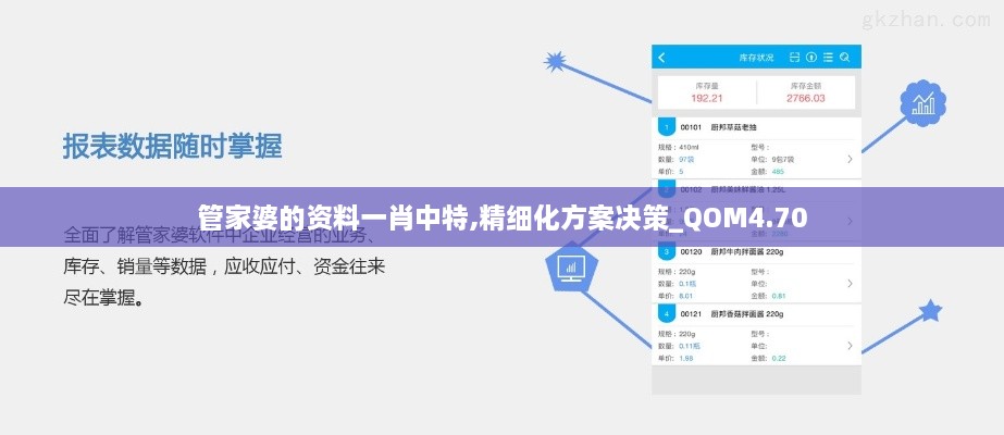 管家婆的资料一肖中特,精细化方案决策_QOM4.70