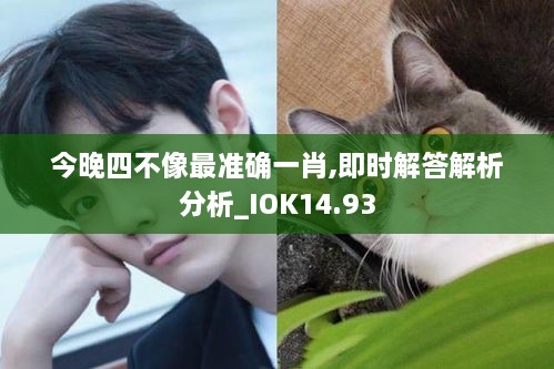 今晚四不像最准确一肖,即时解答解析分析_IOK14.93