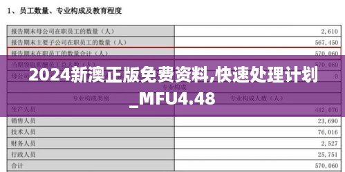 2024新澳正版免费资料,快速处理计划_MFU4.48