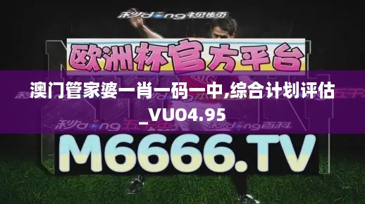 澳门管家婆一肖一码一中,综合计划评估_VUO4.95