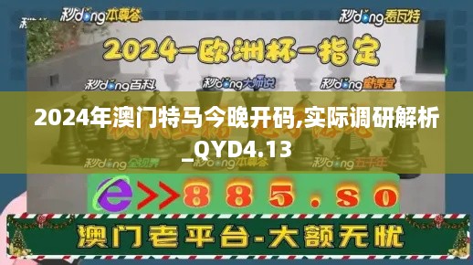 2024年澳门特马今晚开码,实际调研解析_QYD4.13