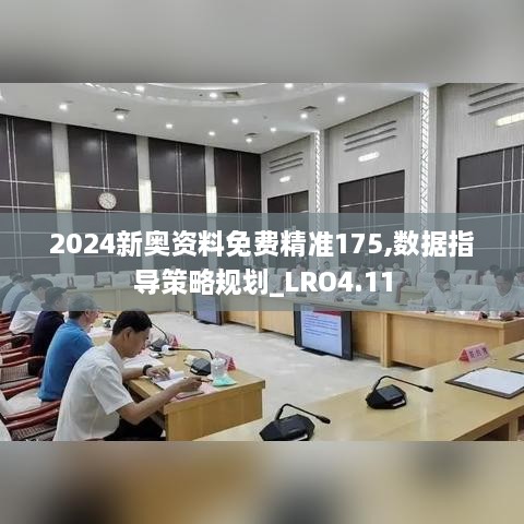 2024新奥资料免费精准175,数据指导策略规划_LRO4.11