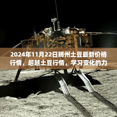 2024年11月22日腾州土豆最新价格行情，超越土豆行情，学习变化的力量与自信成就之路