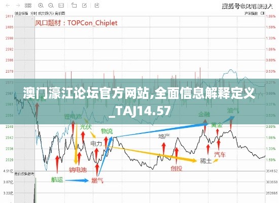 澳门濠江论坛官方网站,全面信息解释定义_TAJ14.57