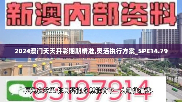 2024澳门天天开彩期期精准,灵活执行方案_SPE14.79