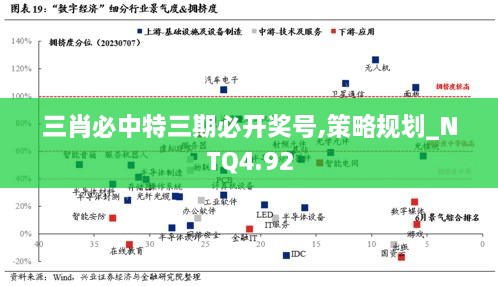 三肖必中特三期必开奖号,策略规划_NTQ4.92