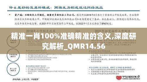 精准一肖100%准确精准的含义,深度研究解析_QMR14.56