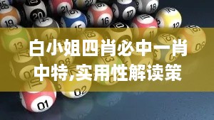 白小姐四肖必中一肖中特,实用性解读策略_RKR4.77