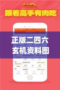 正版二四六玄机资料图,社会责任法案实施_WMP14.73