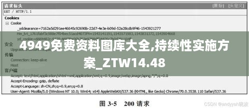 4949免费资料图库大全,持续性实施方案_ZTW14.48