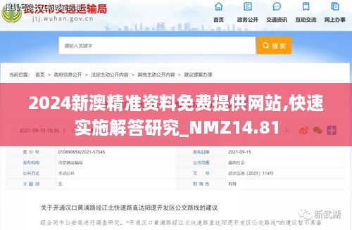 2024新澳精准资料免费提供网站,快速实施解答研究_NMZ14.81