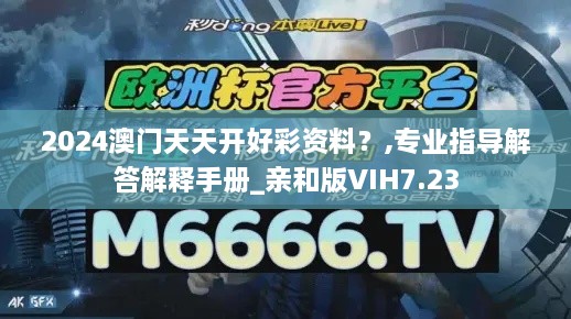 2024澳门天天开好彩资料？,专业指导解答解释手册_亲和版VIH7.23