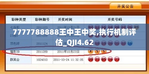 7777788888王中王中奖,执行机制评估_QJI4.62