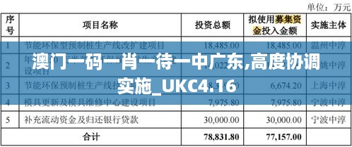 澳门一码一肖一待一中广东,高度协调实施_UKC4.16