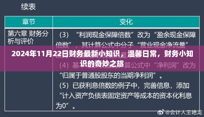 2024年财务新知，日常小知识的奇妙之旅