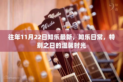 往年11月22日知乐最新，知乐日常，特别之日的温馨时光