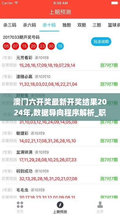 澳门六开奖最新开奖结果2024年,数据导向程序解析_职业版GXT2.47