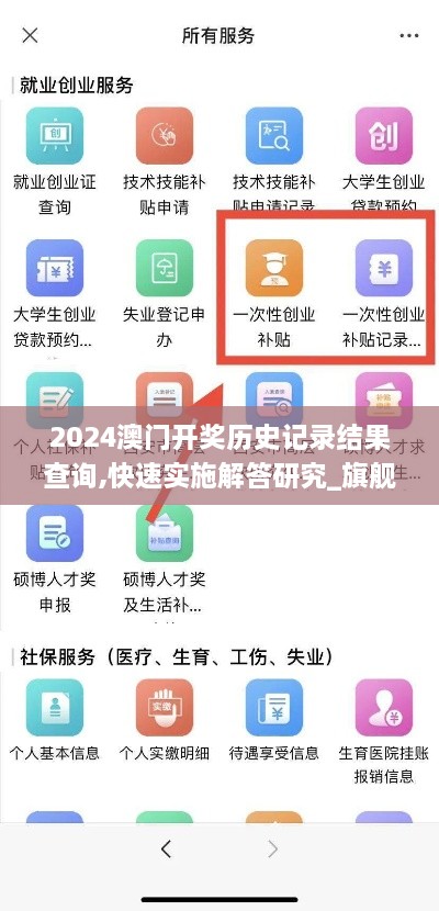 2024澳门开奖历史记录结果查询,快速实施解答研究_旗舰款XJB2.20