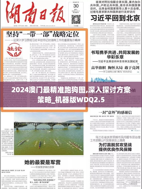 2024澳门最精准跑狗图,深入探讨方案策略_机器版WDQ2.5