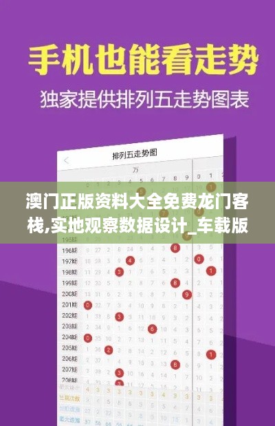 澳门正版资料大全免费龙门客栈,实地观察数据设计_车载版LWY2.94