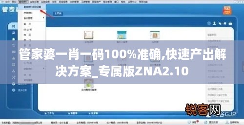 管家婆一肖一码100%准确,快速产出解决方案_专属版ZNA2.10