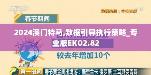 2024澳门特马,数据引导执行策略_专业版EKO2.82