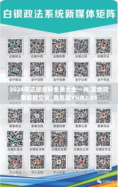 2024年正版资料免费大全一肖,实地观察解释定义_商务版YHN2.85