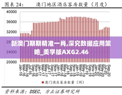 新澳门期期精准一肖,深究数据应用策略_美学版AXG2.46