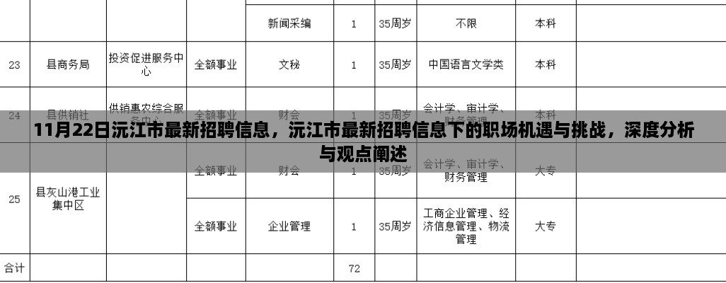 11月22日沅江市最新招聘信息，沅江市最新招聘信息下的职场机遇与挑战，深度分析与观点阐述