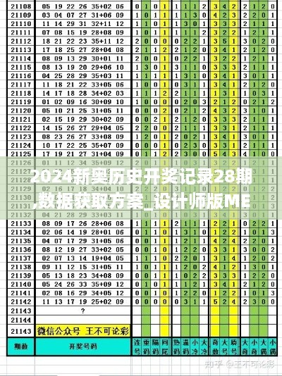 2024新奥历史开奖记录28期,数据获取方案_设计师版MEY2.33