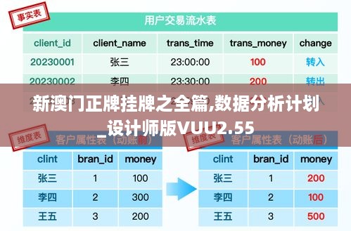 新澳门正牌挂牌之全篇,数据分析计划_设计师版VUU2.55