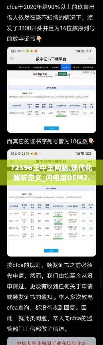 72396王中王网站,现代化解析定义_闪电版DEM2.75