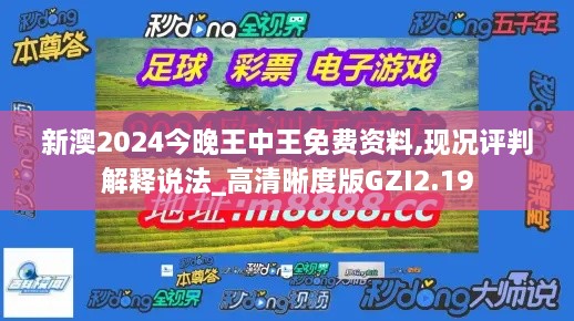 新澳2024今晚王中王免费资料,现况评判解释说法_高清晰度版GZI2.19