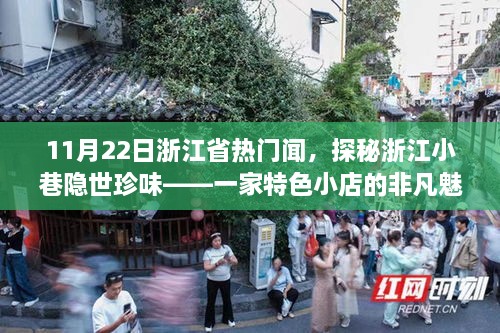 11月22日浙江省热门闻，探秘浙江小巷隐世珍味——一家特色小店的非凡魅力